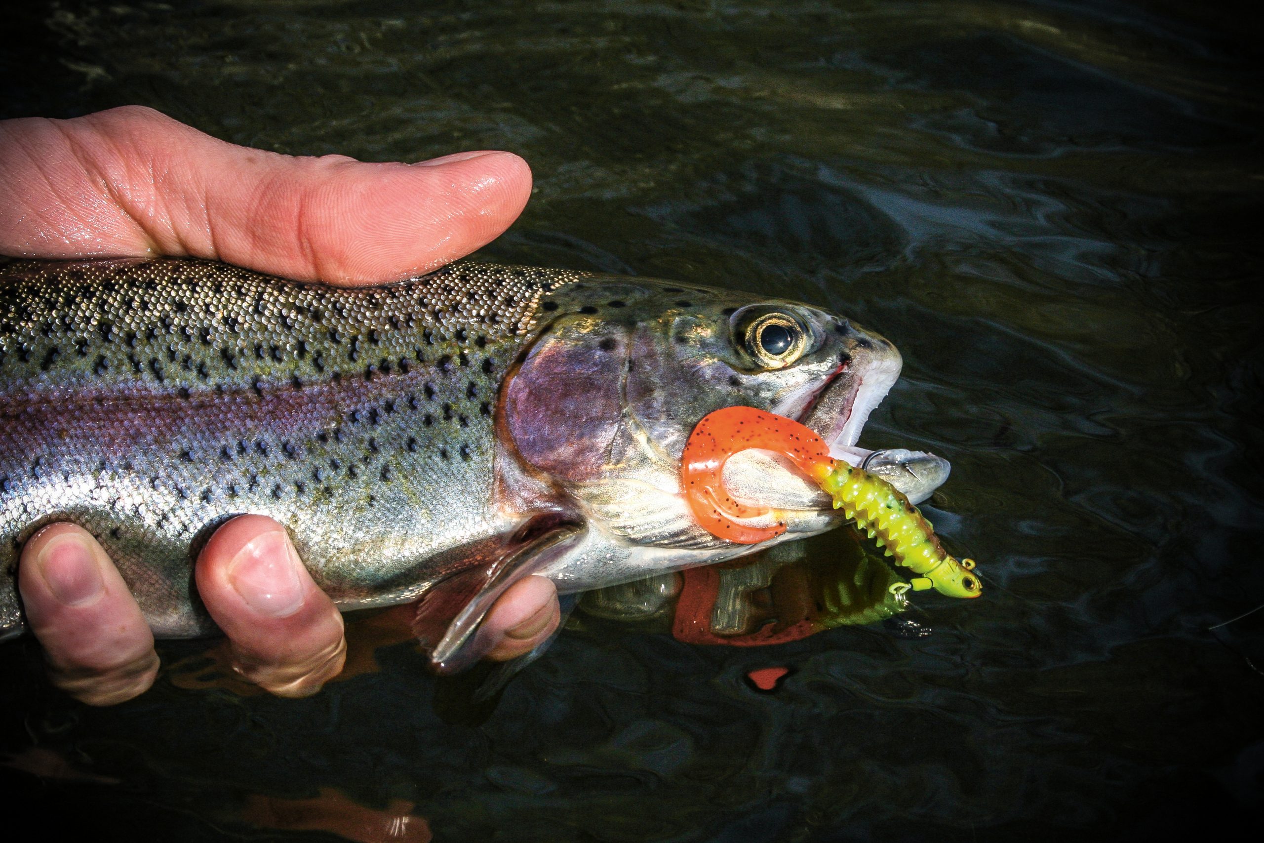 Use Tiny Lures for Big Action from Many Species