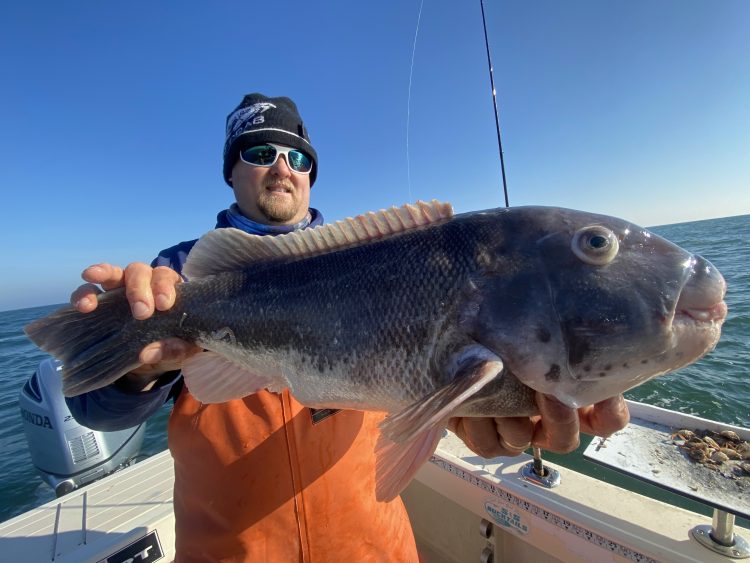 Tautog fishing has been productive according to several recent reports.