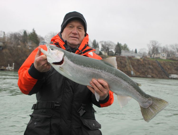 Capt. Ned Librock steelhead