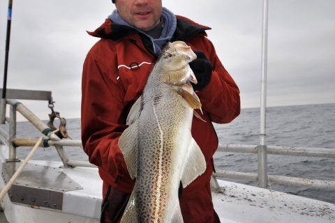 A guide to fishing for cod at Block Island with highlights about where to bottom fish, size regulations, rigs, bait, and more.