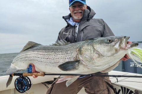 Fly Fishing Tips for Trophy Stripers