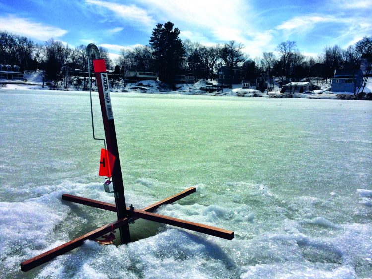 Get to the pond early, not only to claim the best territory, but to capitalize on the early morning bite.