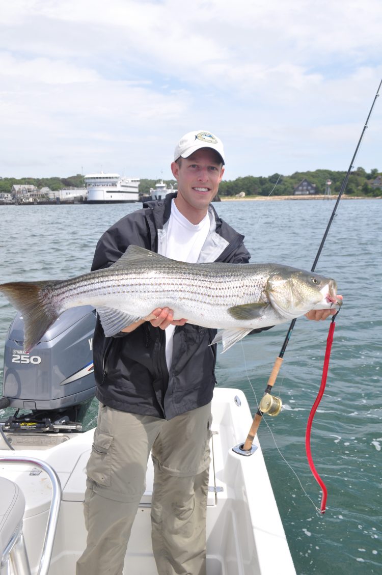 Inshore: Trolling Shallow Water Stripers - The Fisherman
