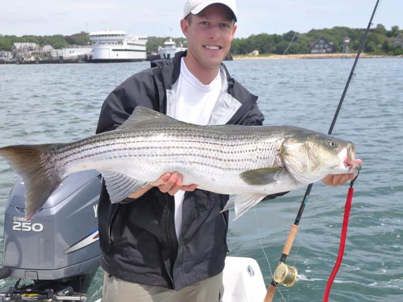 Striper Fishermen Request Circle Hook Exemption for Tube and Worm Rigs - On  The Water
