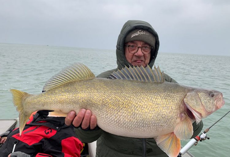 Boris walleye