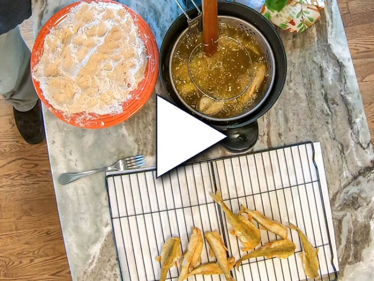 Andy Nabreski demonstrates how to cook rainbow smelt using the 11 secret ingredients from Colonel Sanders' famous recipe.