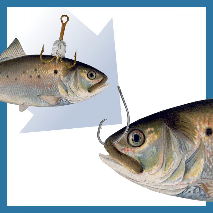 3 criteria to properly rig fishing lures with single hooks