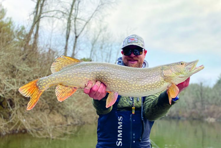 Northern pike adapt to seasonal freshwater temperature patterns. Learn the gear, techniques, retrieves, and flies to catch these predatory fish.