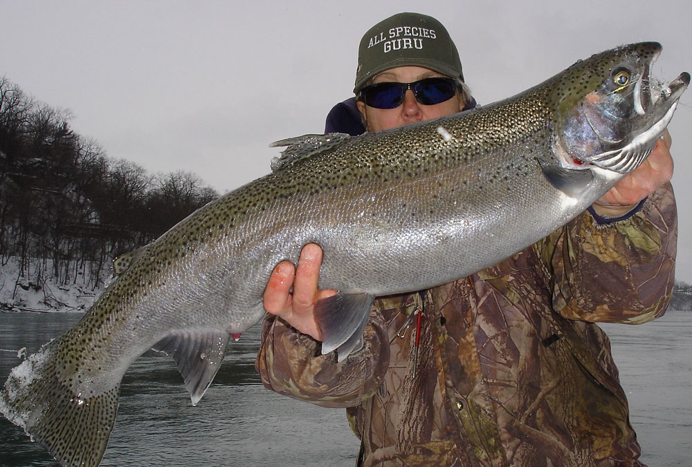 ke Rzucidlo steelhead