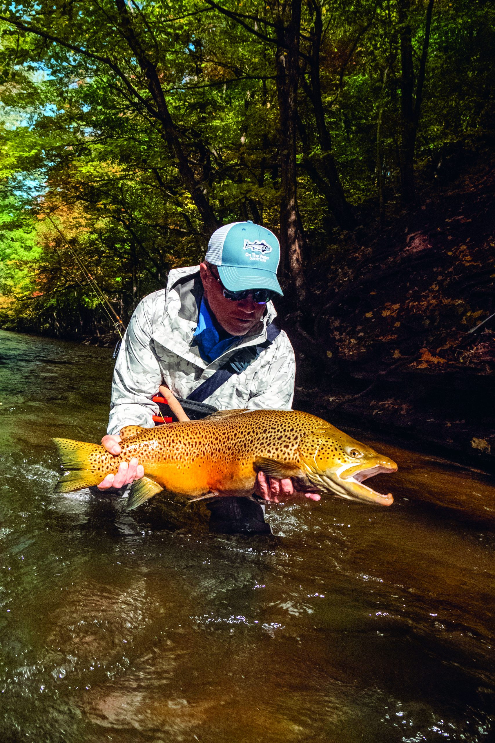 Tips to Catch Brown Trout in Upstate New York - On The Water