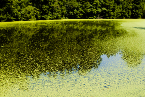 Photo Credit: Massachusetts Department of Public Health