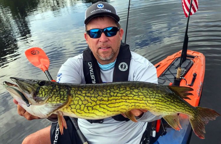 NJ pickerel