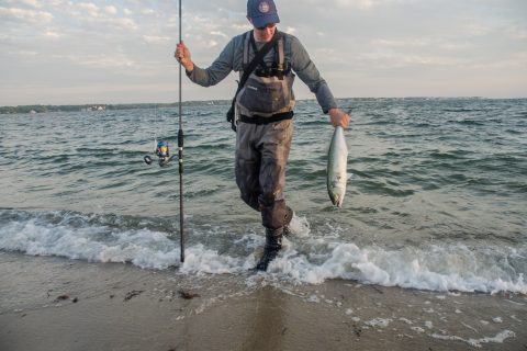 Gear and Tackle: Surf Fishing for Bluefish on Cape Cod | S18 E6