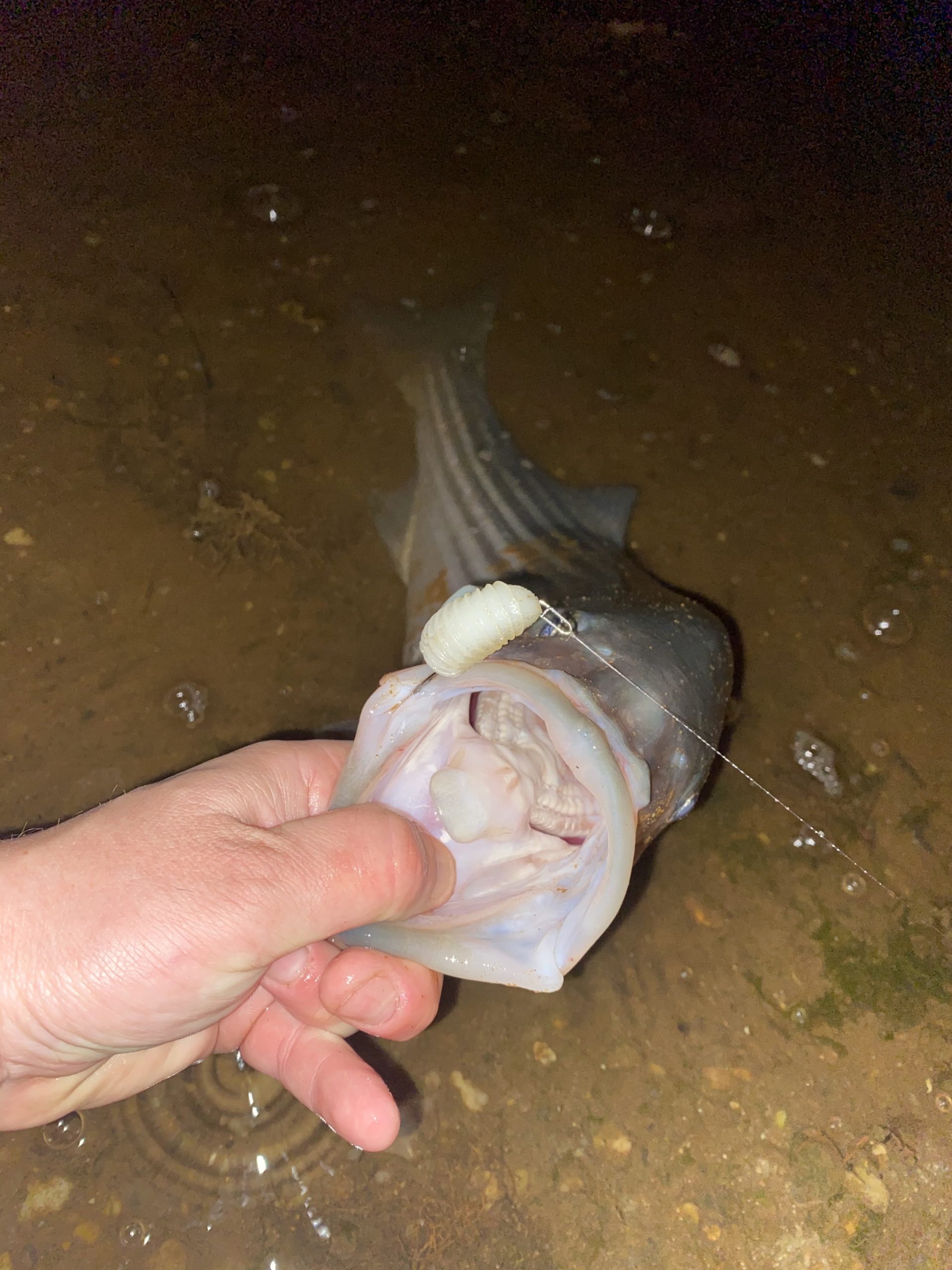 Long Island, New York Fishing Report March 25, 2021 On The Water