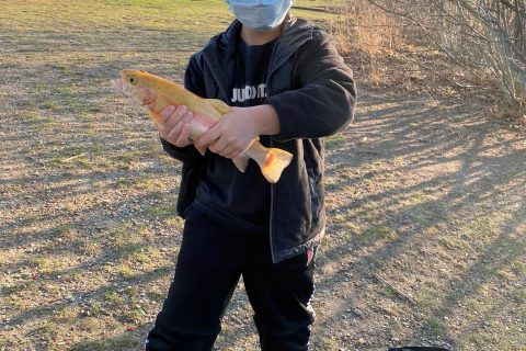 Rhode Island DEM Trout