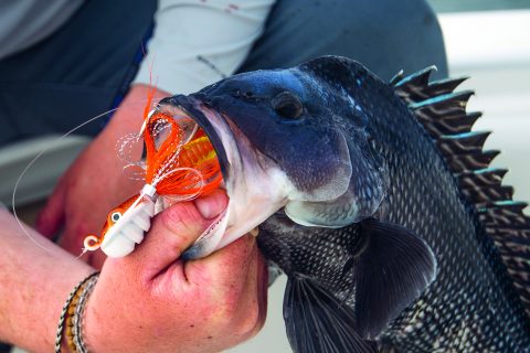Ocean Born&rsquo;s Swimming Bucktail