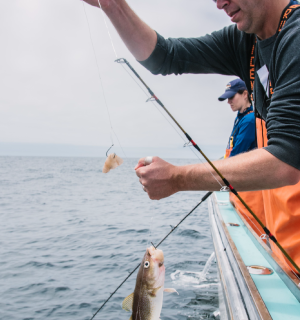 Photo Credit: Massachusetts Division of Marine Fisheries