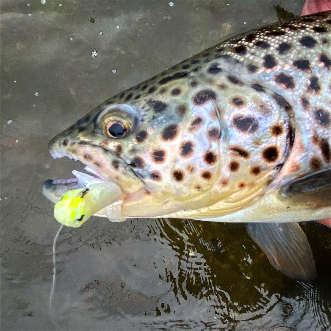 Fishing Soft Plastics for Trout - On The Water