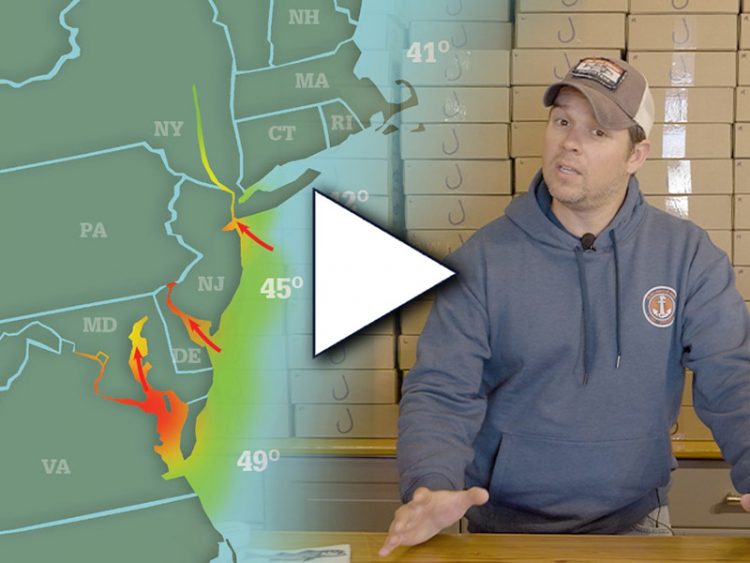 West Marine Striper Update