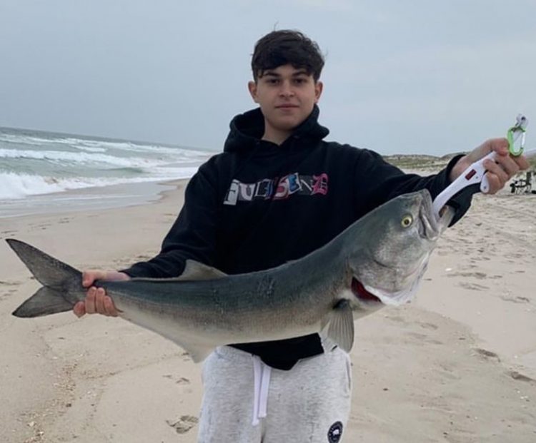 Connor Thompson gator blue