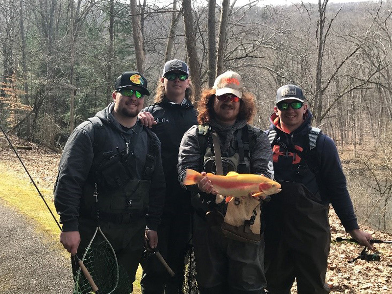 Golden Rainbow Trout