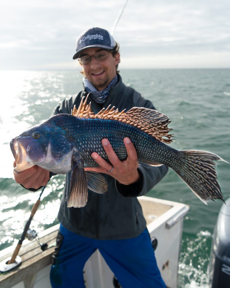 Jigging for Big Black Sea Bass - On The Water
