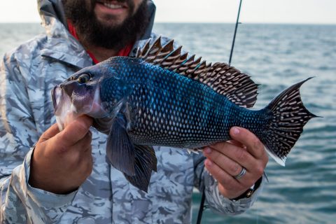 Winter Sea Bass Fishing on Party Boats