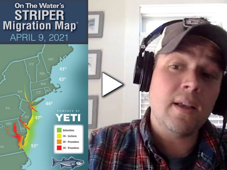 Striper Season Update