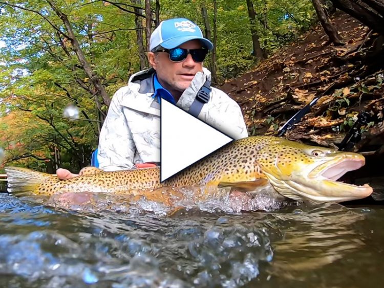 Upstate New York Canals