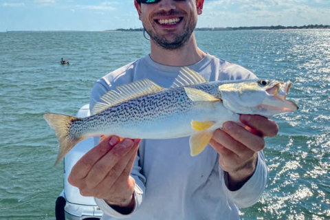 What Happened to Weakfish?