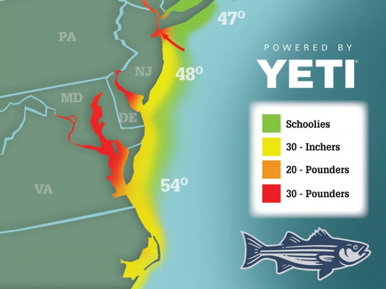 Striper Migration Map 04-23-2021
