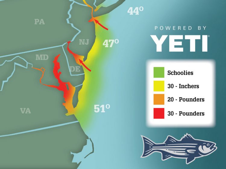 Striper Migration 04-09-21