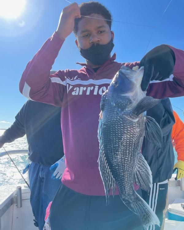 Celtic Quest Black Sea Bass