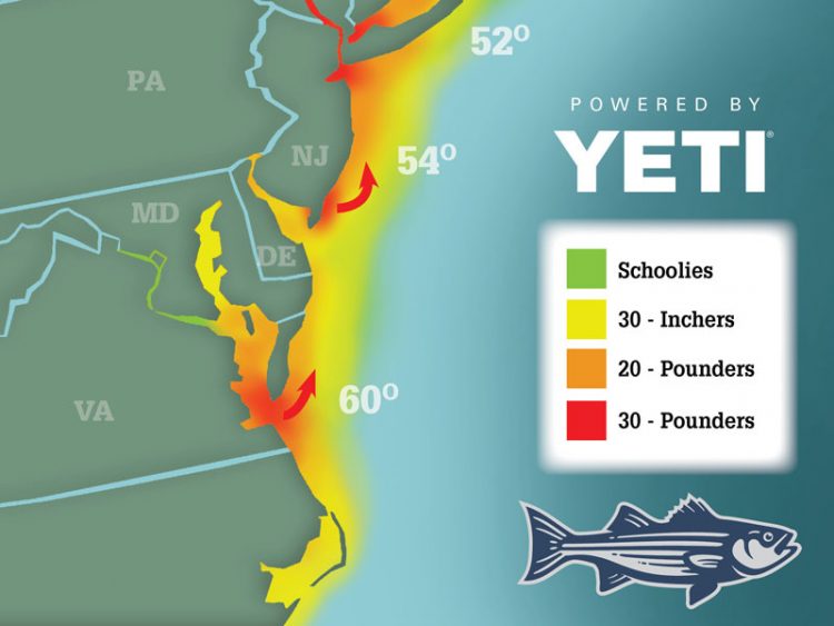 2021 Striper Migration Map May 14, 2021