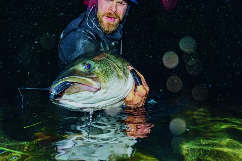 A Surfcasting Spot All to Yourself