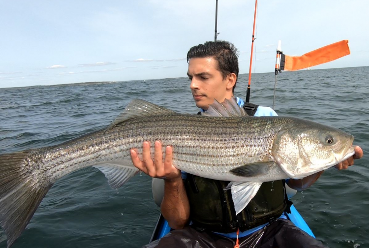 Striper Kayak Fishing