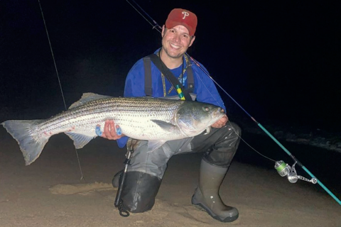 Outer Cape Striped Bass