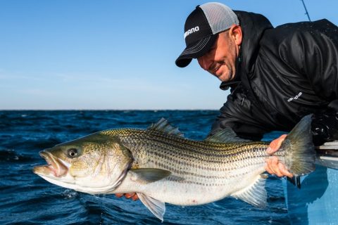 Shimano School Goes Deep on Striped Bass