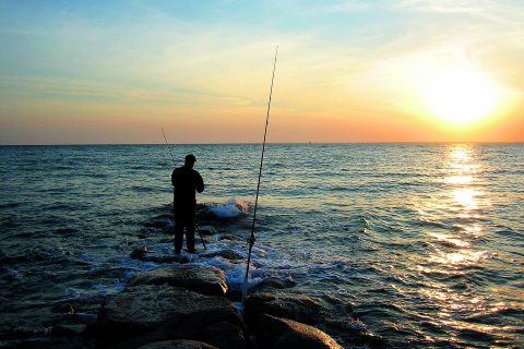 4 Places to Find May Stripers