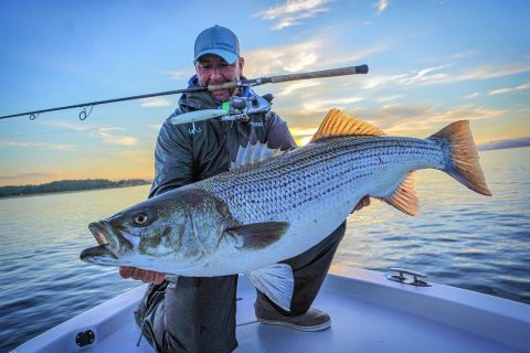 Jack Sprengel Shimano Coltsniper Splash Walk