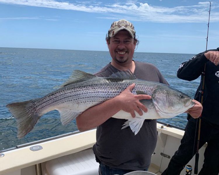 Fire Escape Charters striped bass