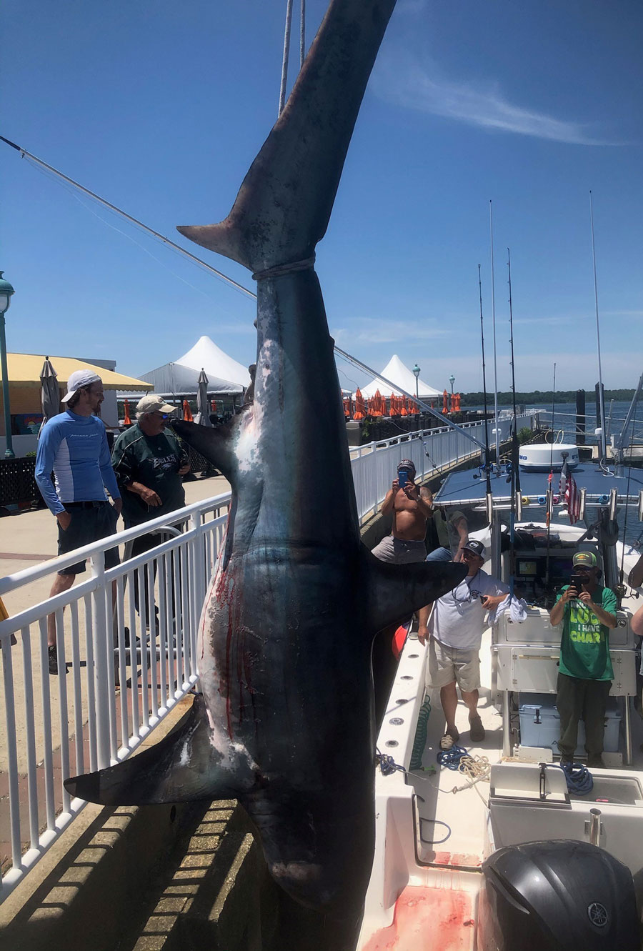 Fisherman's Den thresher