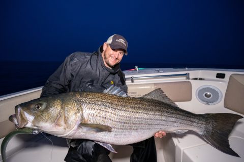Block Island Striper