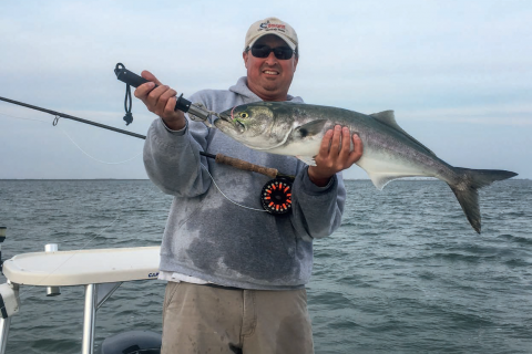 Fly Fishing Stripers