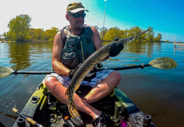 Joel Spring gar