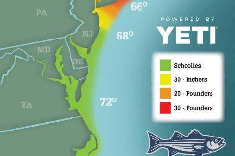 Striper Migration Map