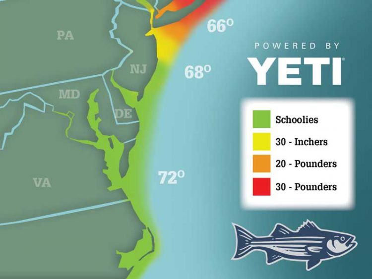 Striper Migration Map