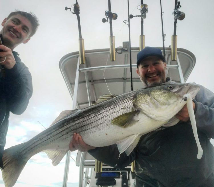 Joe Diorio Patriot Fish Striper