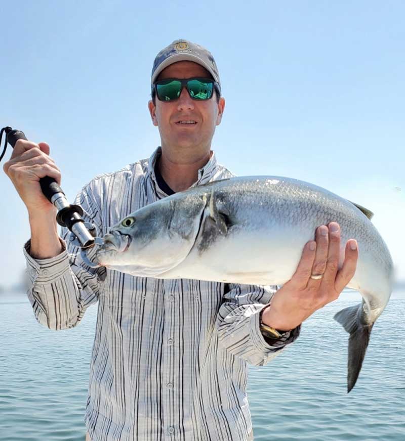 Captain Nick bluefish