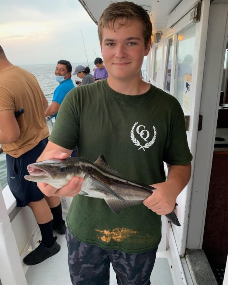 cobia